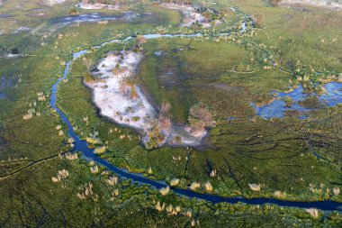 Delta Okavango 'nun Botswana' daki vahşi doğasına hava görüntüsü.