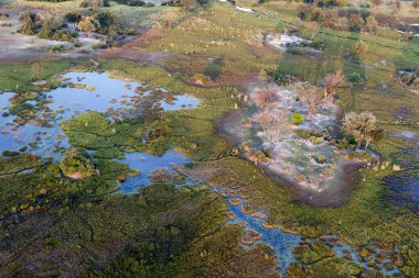 Delta Okavango 'nun Botswana' daki vahşi doğasına hava görüntüsü.