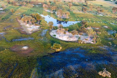Delta Okavango 'nun Botswana' daki vahşi doğasına hava görüntüsü.