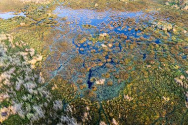 Delta Okavango 'nun Botswana' daki vahşi doğasına hava görüntüsü.