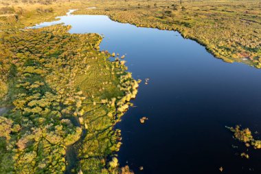 Delta Okavango 'nun Botswana' daki vahşi doğasına hava görüntüsü.