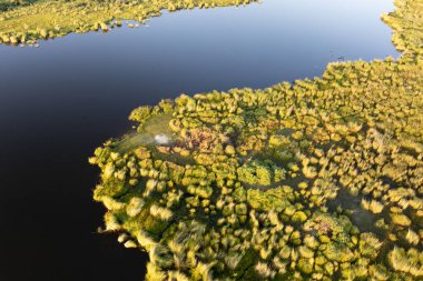 Delta Okavango 'nun Botswana' daki vahşi doğasına hava görüntüsü.