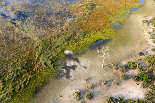 Delta Okavango 'nun Botswana' daki vahşi doğasına hava görüntüsü.