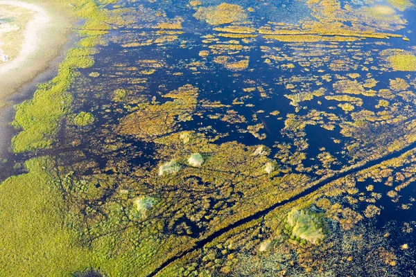 Letecký Pohled Divokou Přírodu Delta Okavango Botswaně — Stock fotografie