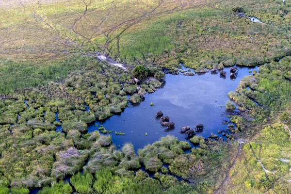 Légi Kilátás Vad Természet Delta Okavango Botswana — Stock Fotó
