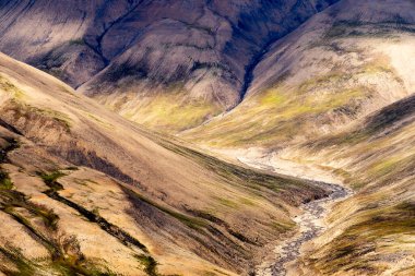 Svalbard 'ın inanılmaz doğası ve manzarası