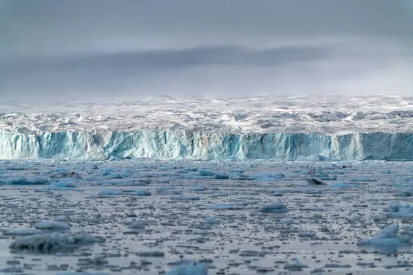 Increíble Paisaje Con Glaciares Témpanos Verano — Foto de Stock