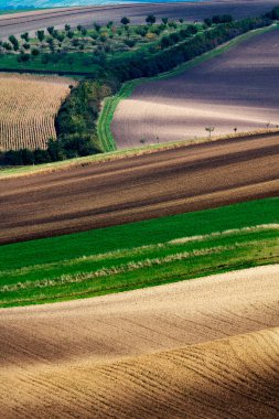 Sonbaharda tarlaların renkleri ve şekilleri