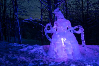 Pustevny 'de buz heykelleri sergisi