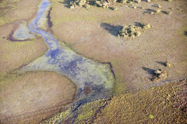 Brezilya 'daki Pantanal ormanının havadan görüntüsü.