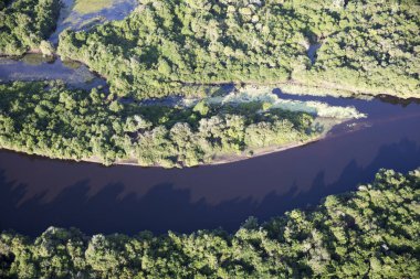 Brezilya 'daki Pantanal ormanının havadan görüntüsü.