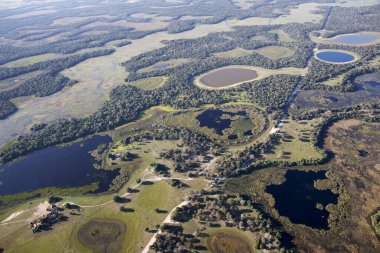 Brezilya 'daki Pantanal ormanının havadan görüntüsü.
