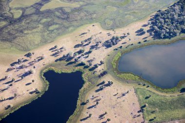 Brezilya 'daki Pantanal ormanının havadan görüntüsü.