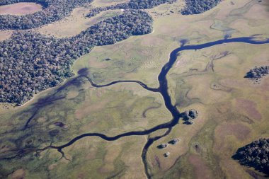 Brezilya 'daki Pantanal ormanının havadan görüntüsü.