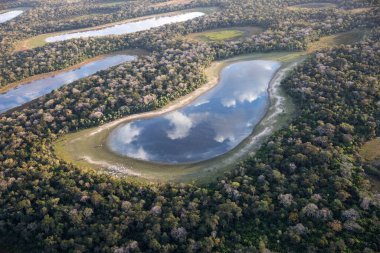 Brezilya 'daki Pantanal ormanının havadan görüntüsü.