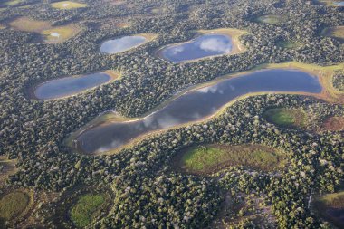 Brezilya 'daki Pantanal ormanının havadan görüntüsü.