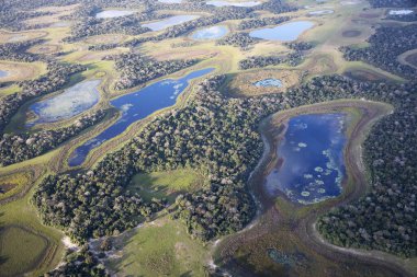Brezilya 'daki Pantanal ormanının havadan görüntüsü.