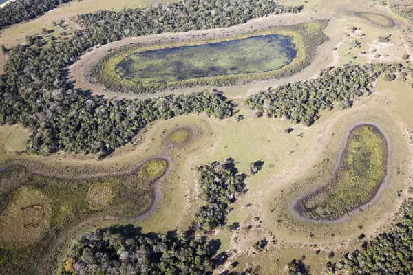 Aerial View Pantanal Jungle Brasil — Stock Photo, Image