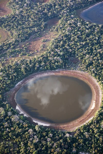Brezilya 'daki Pantanal ormanının havadan görüntüsü.