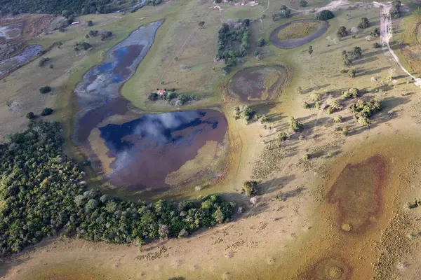 Aerial View Pantanal Jungle Brasil — Stock Photo, Image
