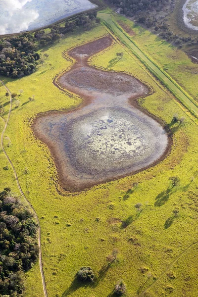Luftaufnahme Des Pantanal Dschungels Brasilien — Stockfoto