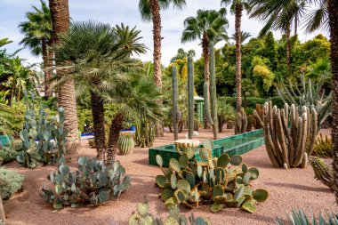 Marakeş 'teki Majorelle Bahçesi. Ayrıca berber kültürü müzesi ve Yves Saint Laurent.