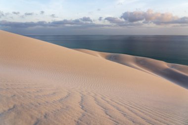 Socotra adasındaki beyaz kum tepeleri