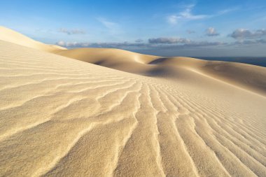Socotra adasındaki beyaz kum tepeleri