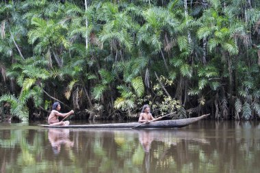 Huaorani, Wuaorani, insanlar, orman, Yasuni, Hintli, yaşam, orman, Ekvador