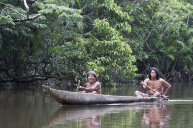 Huaorani, Wuaorani, insanlar, orman, Yasuni, Hintli, yaşam, orman, Ekvador