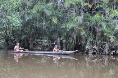 Huaorani kabilesinden Huaorani erkekleri Ekvador 'un Amazon bölgesindeki ormanlarda ahşap kanoda balık tutuyorlar.
