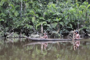 Huaorani kabilesinden Huaorani erkekleri Ekvador 'un Amazon bölgesindeki ormanlarda ahşap kanoda balık tutuyorlar.
