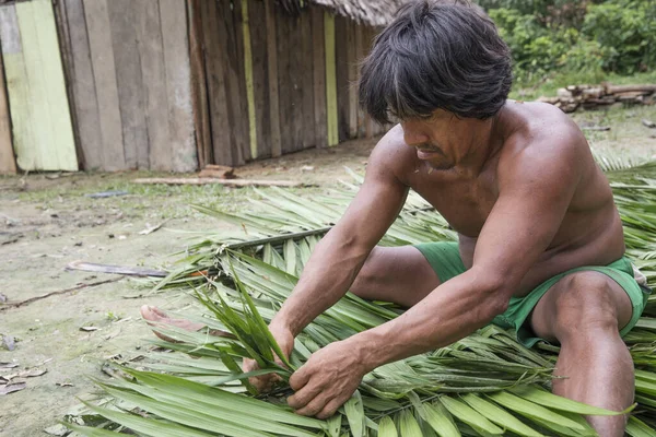 Huaorani Hombres Tribu Waorani Haciendo Techo Hojas Palma Choza Aldea — Foto de Stock