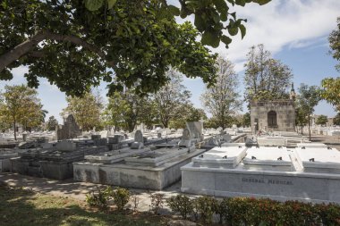 Karayipler 'deki en büyük mezarlık. Havana