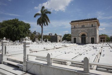Karayipler 'deki en büyük mezarlık. Havana