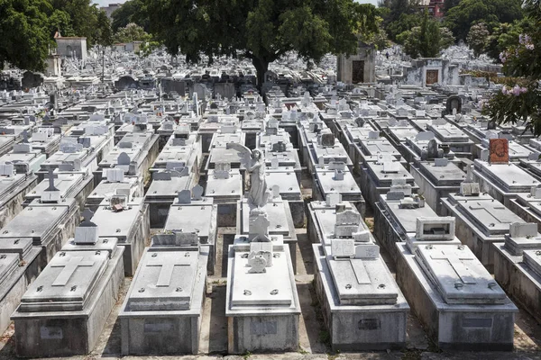 Karayipler 'deki en büyük mezarlık. Havana