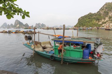 Vietnam 'da Ha Long Körfezi. Pazardaki balıkçılar deniz ürünleri, meyve, sebze ve atc sunuyorlar.