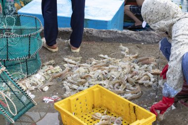 Vietnam 'da Ha Long Körfezi. Pazardaki balıkçılar deniz ürünleri, meyve, sebze ve atc sunuyorlar.