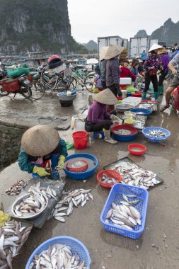 Vietnam 'da Ha Long Körfezi. Pazardaki balıkçılar deniz ürünleri, meyve, sebze ve atc sunuyorlar.