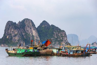Vietnam 'da Ha Long Körfezi. Pazardaki balıkçılar deniz ürünleri, meyve, sebze ve atc sunuyorlar.