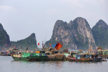 Vietnam 'da Ha Long Körfezi. Pazardaki balıkçılar deniz ürünleri, meyve, sebze ve atc sunuyorlar.