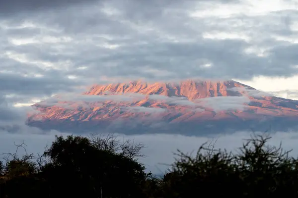 Самая Высокая Гора Танзании Килиманджаро Вид Национального Парка Амбосели Стоковое Изображение