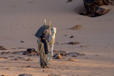 Berber adam ve deve Sahara çölünde