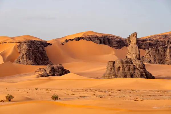 stock image Sahara desert, sand, dunes and rocks in Algeria. Surrounding of Djanet. Place of Sahara named Moul Ennaga