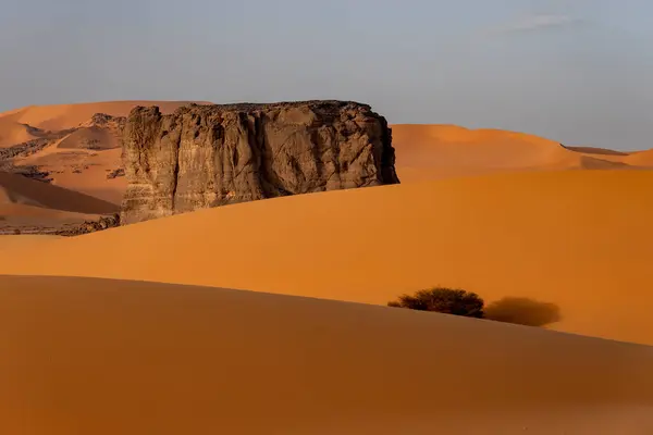 stock image Sahara desert, sand, dunes and rocks in Algeria. Surrounding of Djanet. Place of Sahara named Moul Ennaga