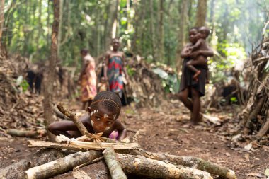 Yüz boyalı bir pigme kız Kamerun 'daki tropikal ormanın kalbinde odun hazırlıyor. Arka planda, yerli toplumun günlük yaşamı geleneksel barınaklar arasında gelişiyor. Bir Afrika kabilesinin yaşamına otantik bir bakış. 