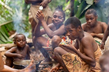 Baka pigme kabilesi üyeleri bir çemberde oturur ve Kamerun yağmur ormanlarında yiyeceklerini paylaşırlar. Yerli bir orman topluluğunda günlük hayatın bir anı..