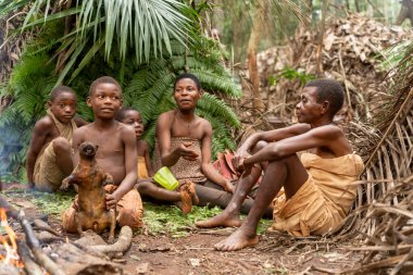 Baka kabilesi üyeleri yağmur ormanlarındaki bir kamp ateşinin etrafında. Bir çocuk kavrulmuş çalı eti tutuyor, geleneksel bir vahşi hayvan yemeği.