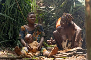 Baka pigmelerinin üç nesli Kamerun ormanının göbeğindeki palmiye yapraklı bir sığınakta dinleniyor..