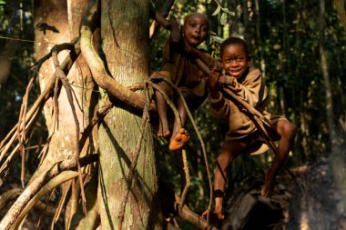 Pigme çocukları yağmur ormanlarındaki sarmaşıklara neşeyle tırmanıyor, kabile ormanlarının derinliklerinde spontane eğlenceli anlar yakalıyorlar.